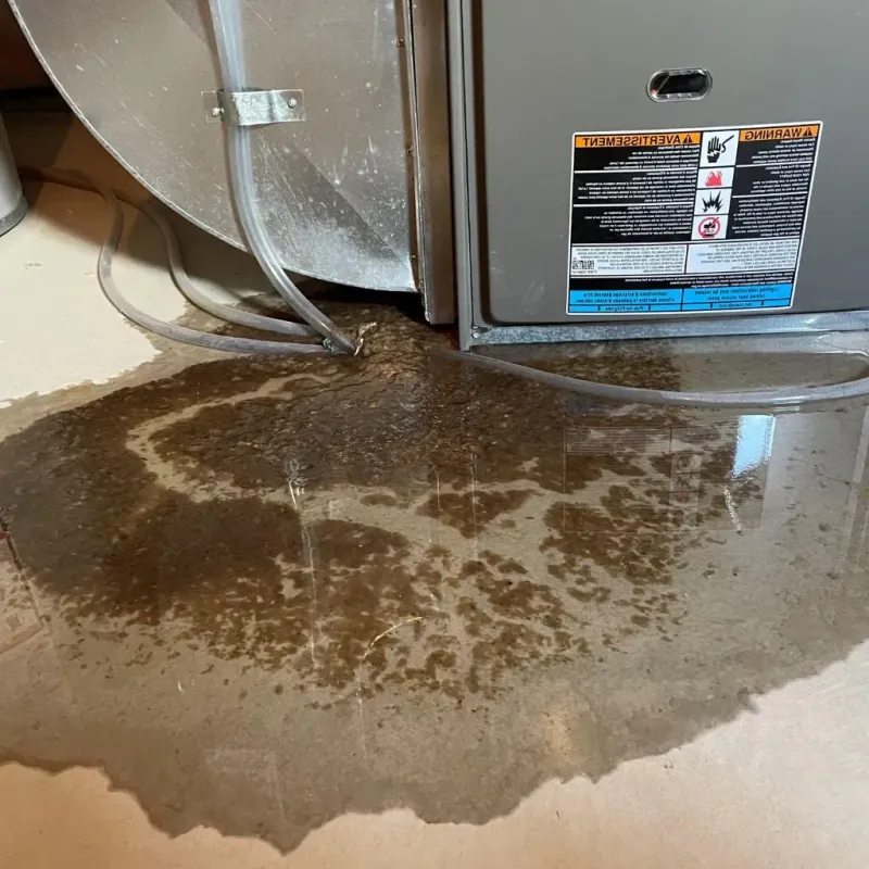 Pipe Burst and Leak Restoration in Simsbury Center, CT